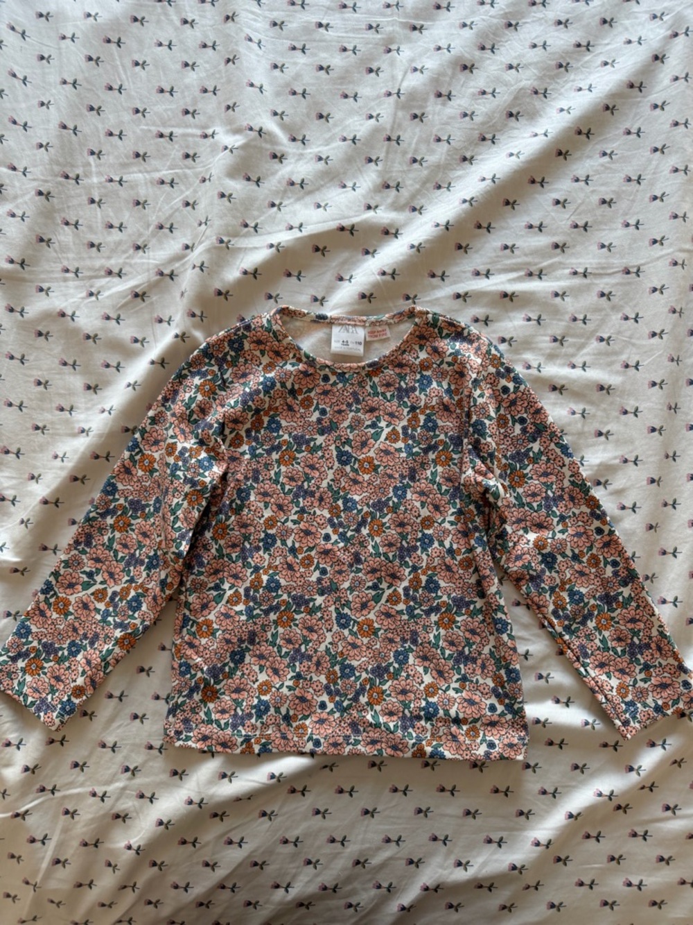 Zara Floral Long-Sleeve Tee in Pink, Green, Brown